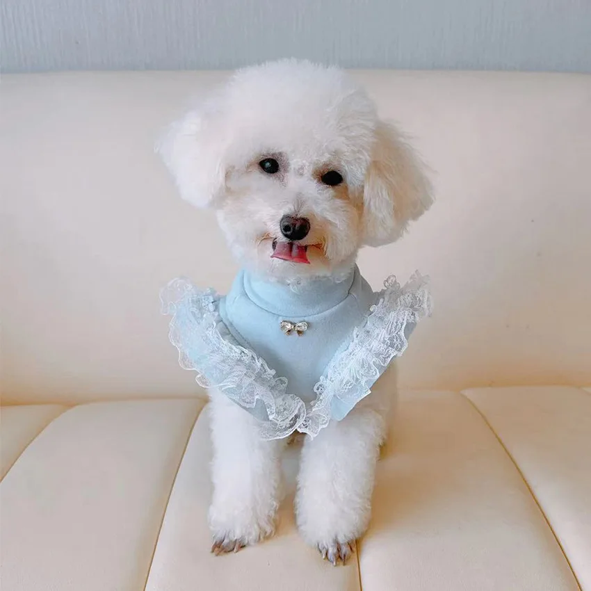 Roupas para animais de estimaç - Lace Teddy Lingerie avaliação e preço