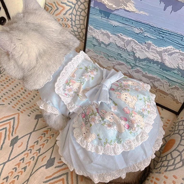 Pet Cute Avental Dress Lace Fl - Lace Teddy Lingerie avaliação e preço