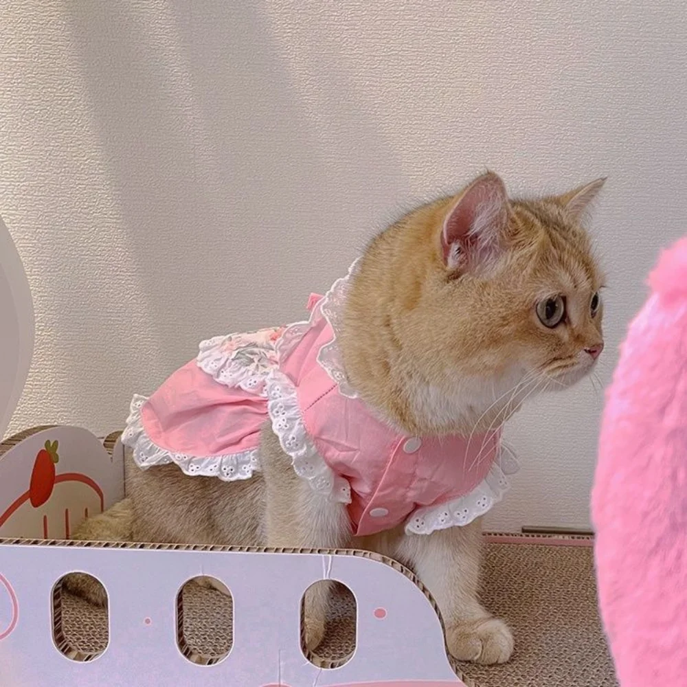 Pet Cute Avental Dress Lace Fl - Lace Teddy Lingerie avaliação e preço